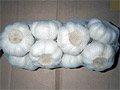 tjjN1kg