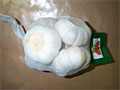 tjjN500g
