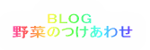 BLOG